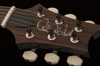 paulsguitar_photo4_1 paulsguitar_photo4_1