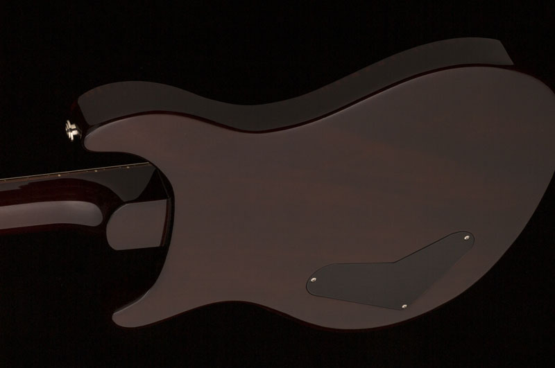 paulsguitar_photo3_1