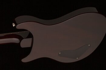 paulsguitar_photo3_1 paulsguitar_photo3_1