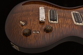 paulsguitar_photo2_1 paulsguitar_photo2_1