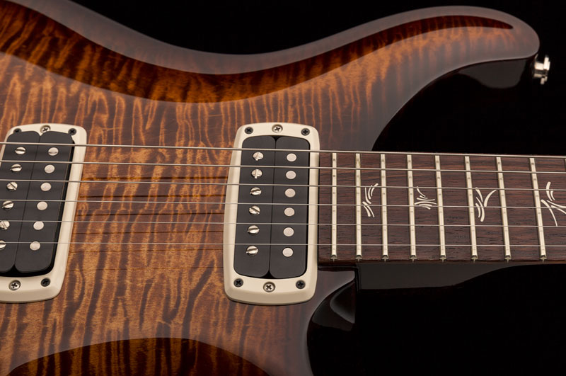 paulsguitar_photo1_1