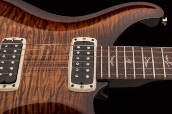 paulsguitar_photo1_1 paulsguitar_photo1_1