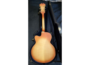 Alhambra Guitars 5 F CW E2
