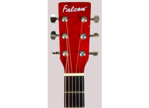 Falcon FG100 (48621)