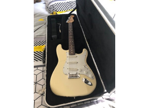 Fender Custom Shop David Gilmour Signature Relic Stratocaster (20962)