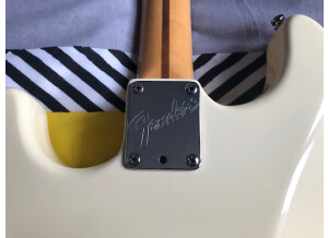 Fender Custom Shop David Gilmour Signature Relic Stratocaster (48255)