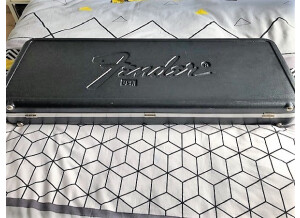 Fender Custom Shop David Gilmour Signature Relic Stratocaster (80315)