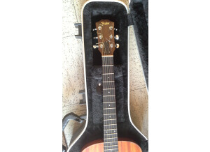 Taylor GS Mini (Mahogany Top) (46537)