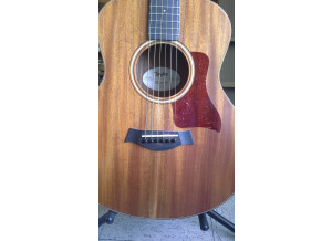 Taylor GS Mini (Mahogany Top) (50309)