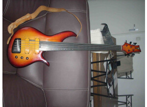 F Bass BNF5 (63290)