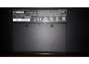Yamaha THR10C (14928)