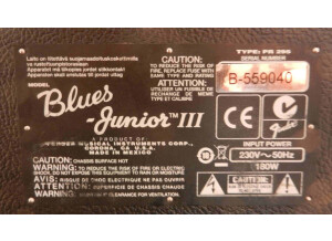 Fender Blues Junior III  (90972)