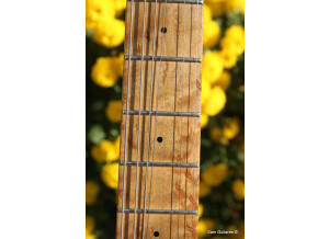 Music Man Axis (35821)