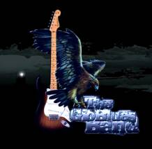 Fender FM 212R