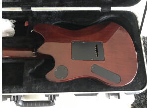 Fender Special Edition Showmaster QBT HH