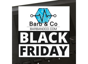 Barb & Co Black Friday5