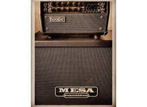 Mesa Boogie Mark Five: 25 Head (57316)