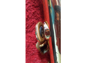 Roland AC-33-RW (73955)