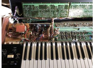 313507DE-87AB-4243-ABB3-45F33A0028EE