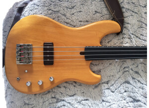 Ibanez GWB35 (25086)