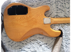 Ibanez GWB35 (92847)