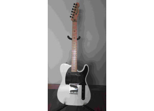 Fender Standard Telecaster [2009-Current] (66698)