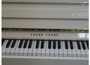 young chang EC109