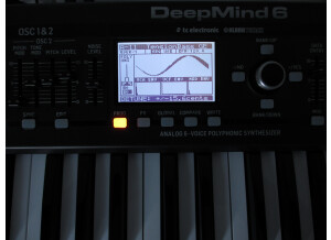 Behringer DeepMind 6 (503)