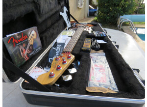 Fender American Standard Precision Bass V [2008-2012] (81808)