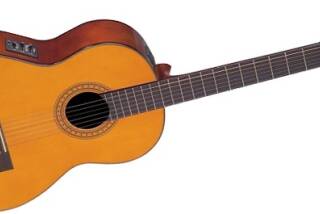 Takamine EG116