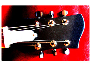 Gibson Les Paul Classic Double Cut (33273)