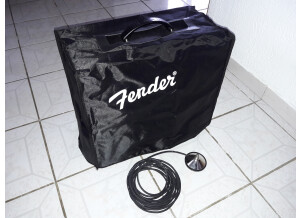 Fender Blues Junior III  (58951)