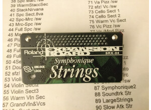 Roland SRX-04 Super Strings (89307)