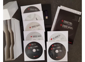 Steinberg Cubase Pro 8.5 (58381)