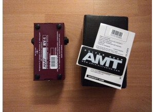 Amt Electronics RY-1 Reverberry (37743)