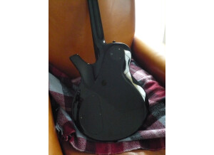 Parker Guitars PM-10 (23741)
