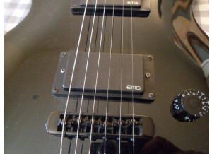Parker Guitars PM-10 (57551)