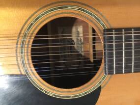 Fender F-55-12