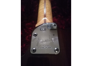 Fender Select Thinline Telecaster (68916)