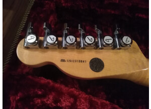 Fender Select Thinline Telecaster (39720)