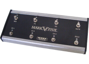 Mesa-Boogie-Mark-V-Head_Z-2