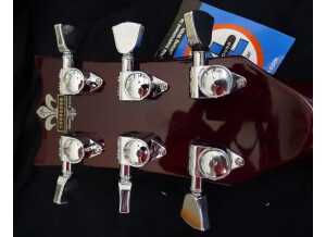 SR Guitars 11