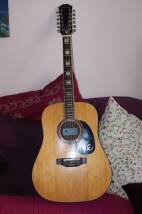 Epiphone FT-165 Bard Deluxe 12-String