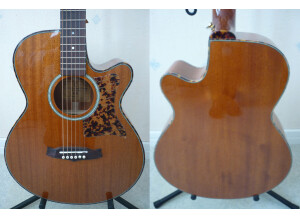 Tanglewood TW47 E (41173)