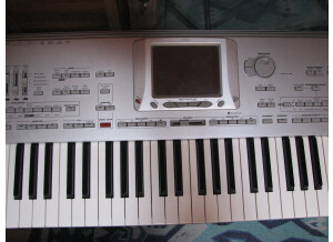 Korg Pa1XPro (50255)