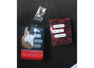 Fender Texas Special Custom Shop