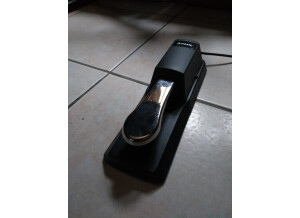 IMG_20181127_105515189