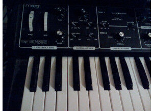 Moog Music Rogue (305)