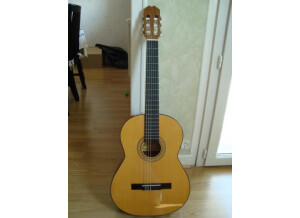 Alvaro Guitarra Clasica n°25