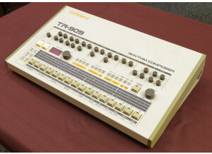 Roland TR-909 (14795)
